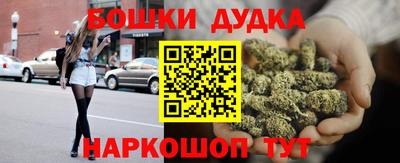 apvp Бердск