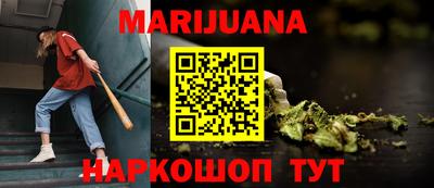 apvp Бердск