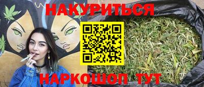 apvp Бердск