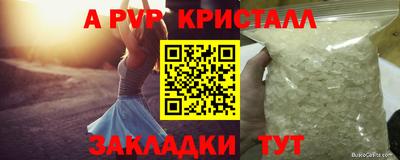 apvp Бердск