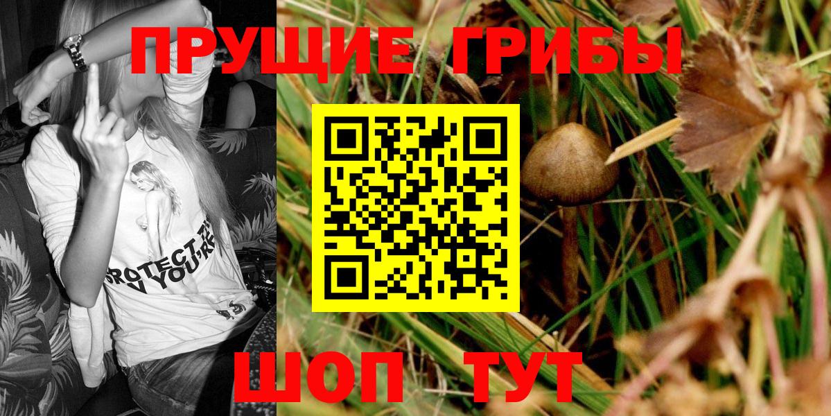 Галлюциногенные грибы мицелий  Вход с VPN  как найти   Губкинский 